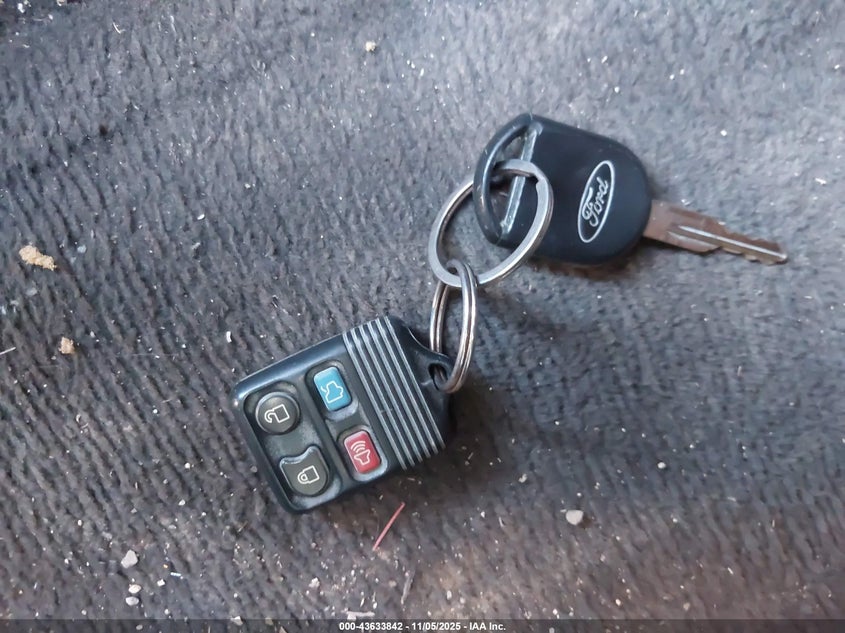 2006 Ford Mustang Gt VIN: 1ZVFT82H665246983 Lot: 43633842