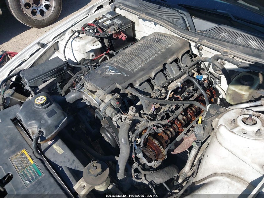 2006 Ford Mustang Gt VIN: 1ZVFT82H665246983 Lot: 43633842