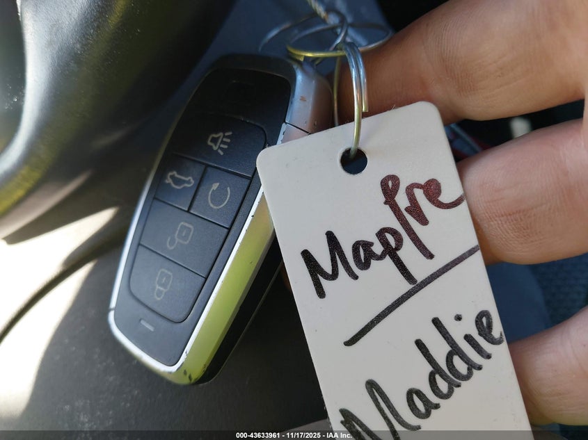 2020 Kia Niro Ev Ex VIN: KNDCC3LG6L5061830 Lot: 43633961