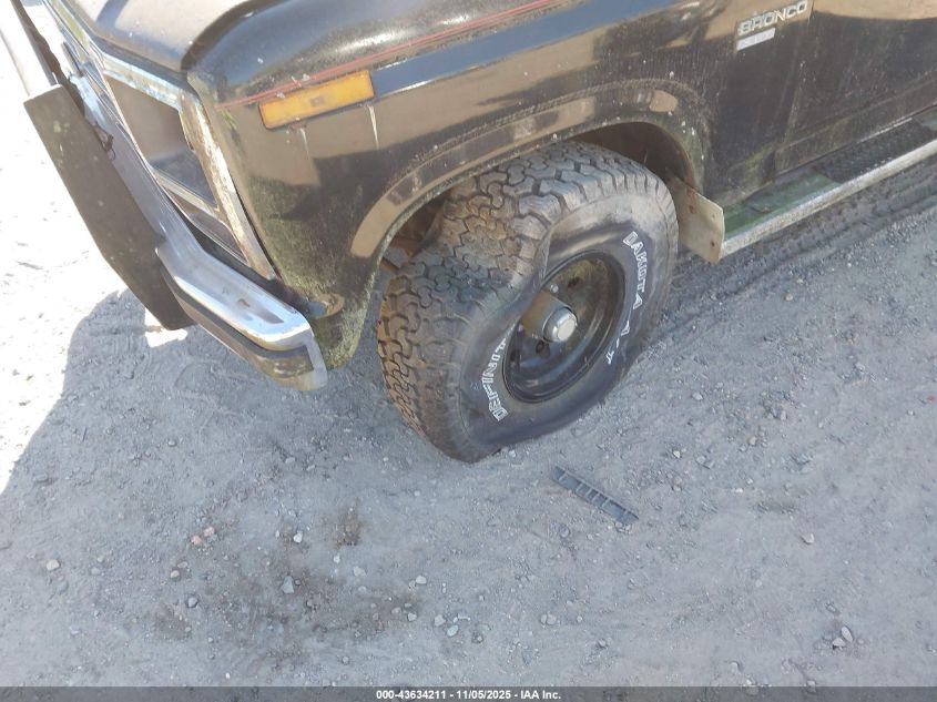 1985 Ford Bronco U100 VIN: 1FMEU15H6FLA20500 Lot: 43634211