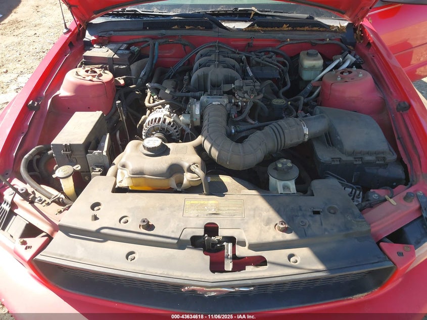 2008 Ford Mustang V6 Deluxe/V6 Premium VIN: 1ZVHT84N785155347 Lot: 43634618