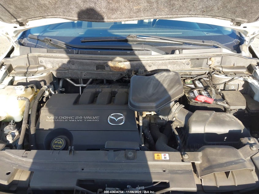 2009 Mazda Cx-9 Touring VIN: JM3TB38V990167132 Lot: 43634754