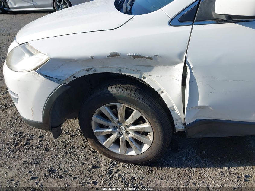 2009 Mazda Cx-9 Touring VIN: JM3TB38V990167132 Lot: 43634754