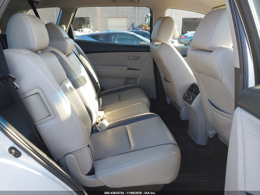 2009 Mazda Cx-9 Touring VIN: JM3TB38V990167132 Lot: 43634754