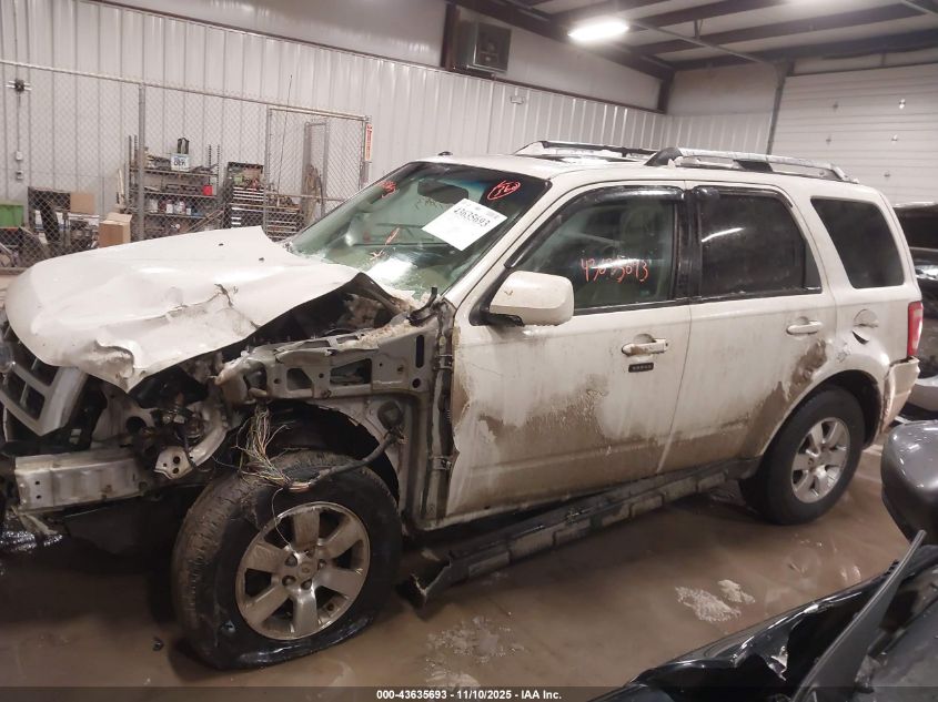 2009 Ford Escape Limited VIN: 1FMCU04789KB97232 Lot: 43635693