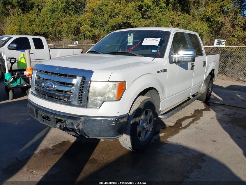 1FTEW1C88AKA26024 2010 FORD F-150 photo no. 2