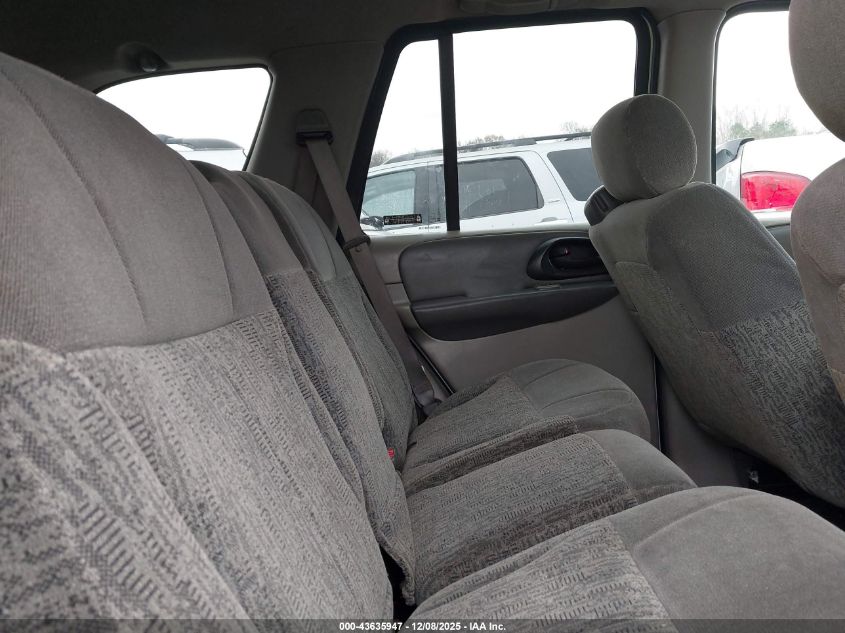 2003 Chevrolet Trailblazer Ls VIN: 1GNDS13S832186899 Lot: 43635947