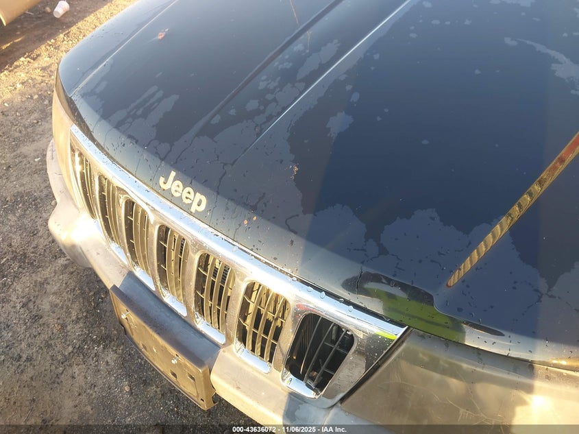 2002 Jeep Grand Cherokee Laredo VIN: 1J4GW48S12C139821 Lot: 43636072