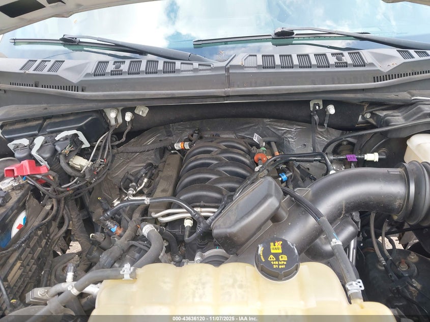 2019 FORD F-150 XL 1FTEX1E59KKD18766