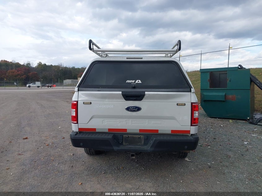 2019 FORD F-150 XL 1FTEX1E59KKD18766