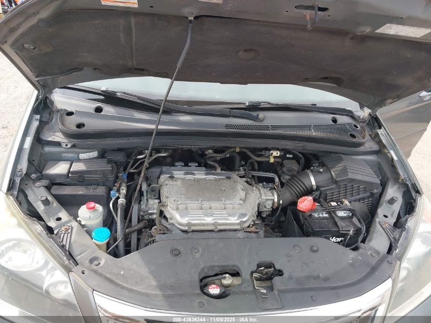 2008 Honda Odyssey Ex-L VIN: 5FNRL38688B411734 Lot: 43636344