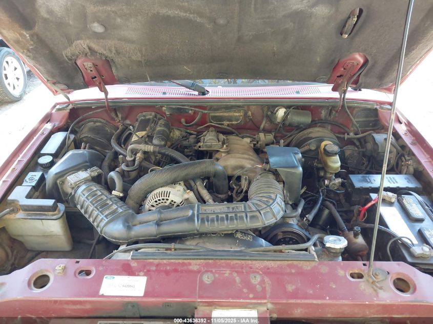 1994 Ford Ranger VIN: 1FTCR10U0RUD13552 Lot: 43636392