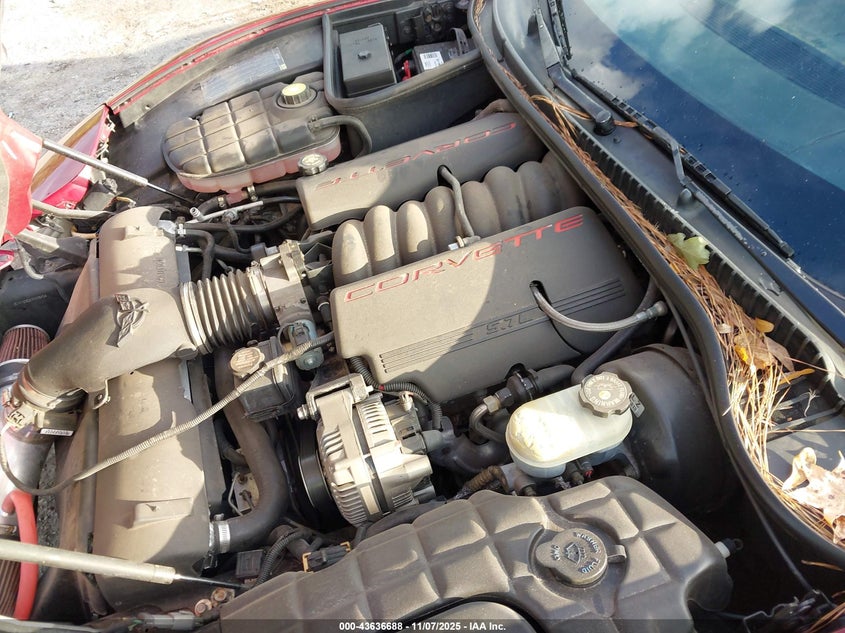 2001 Chevrolet Corvette VIN: 1G1YY22G215118484 Lot: 43636688