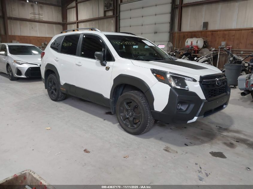 SUBARU FORESTER WILDERNESS