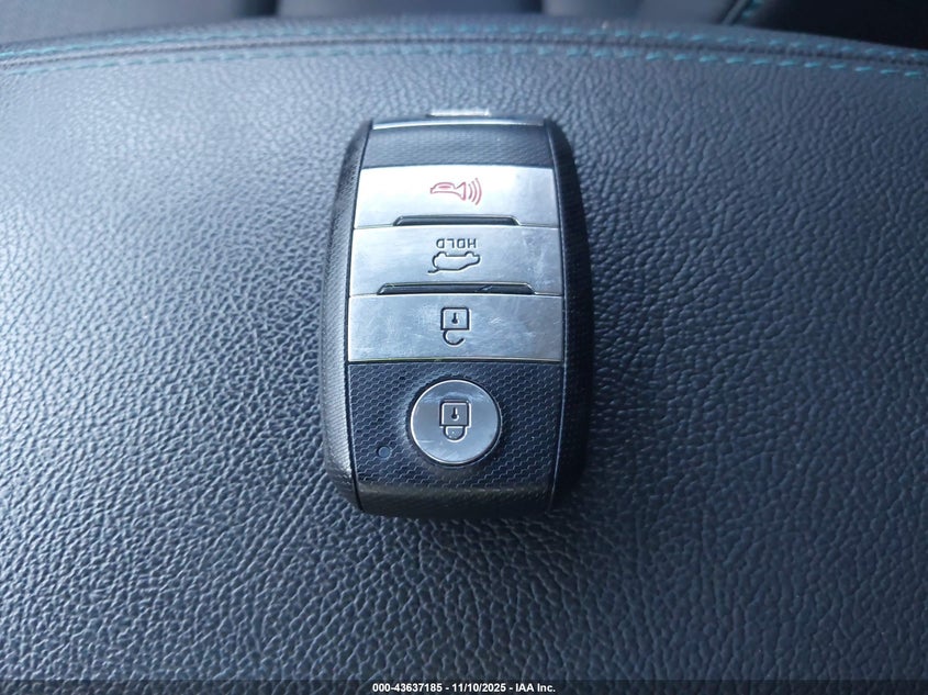 2019 KIA NIRO EV EX PREMIUM KNDCE3LG4K5019231