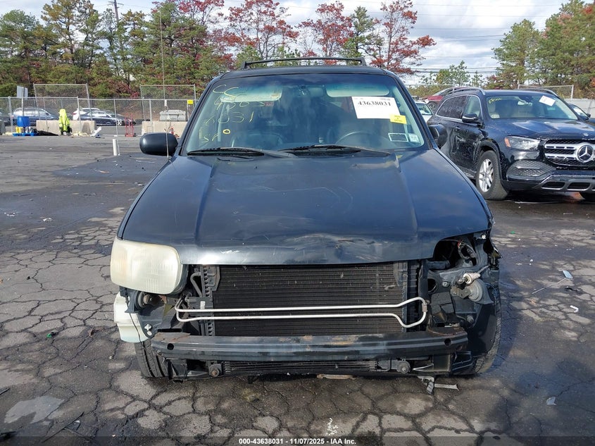 2004 Ford Escape Limited VIN: 1FMCU94194KA24943 Lot: 43638031