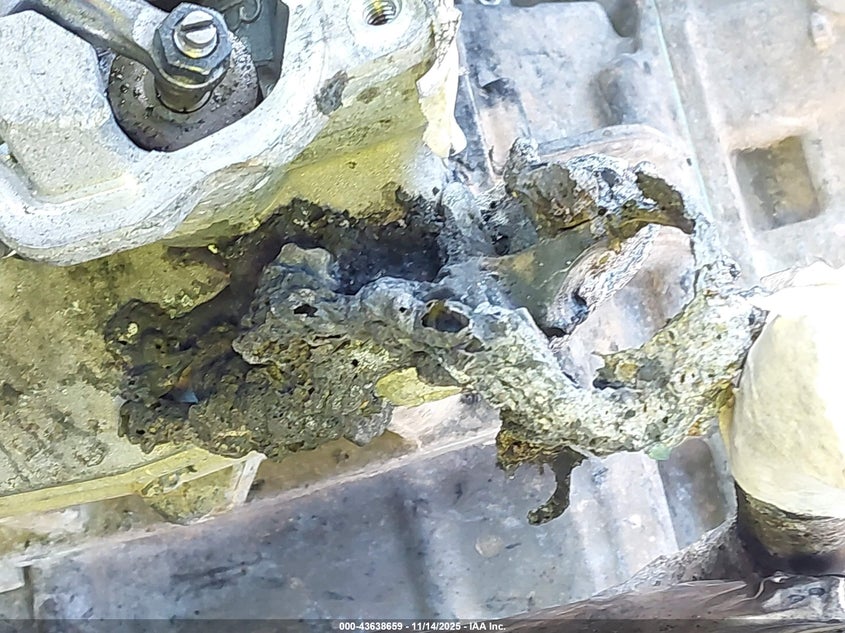 3JBUVAX49RK008799 2024 CAN-AM/ BRP TRAXTER photo no. 13