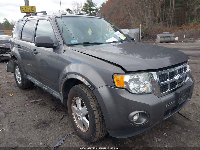 FORD ESCAPE XLT