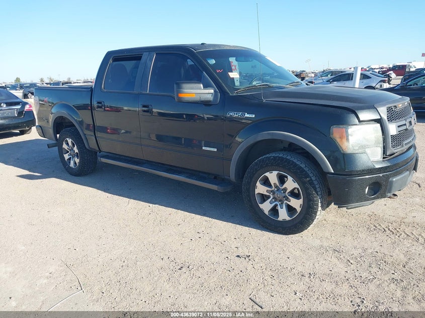 FORD F-150 FX4