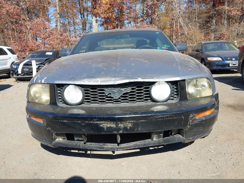2006 Ford Mustang V6 VIN: 1ZVFT80N365219653 Lot: 43639077