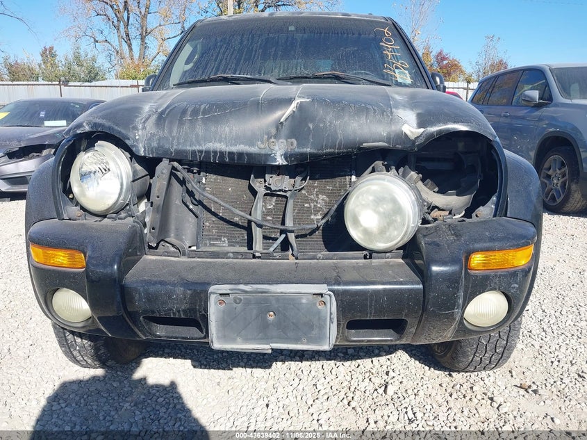 1J4GL58K82W264621 2002 JEEP LIBERTY (NORTH AMERICA) photo no. 6