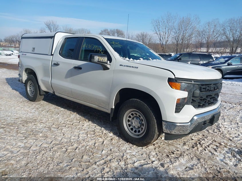 CHEVROLET SILVERADO 1500 4WD  STANDARD BED WT 2022