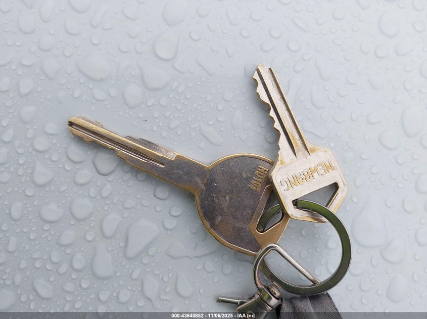 2000 Honda Cr-V Special Edition VIN: JHLRD1878YS005338 Lot: 43640852