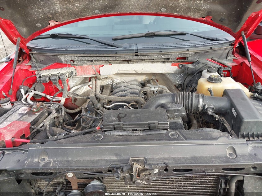 2013 FORD F-150 STX 1FTFX1EF4DFC10788