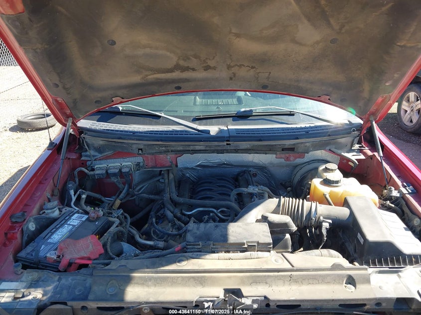 2013 FORD F-150 XLT 1FTFW1CF1DFD55664