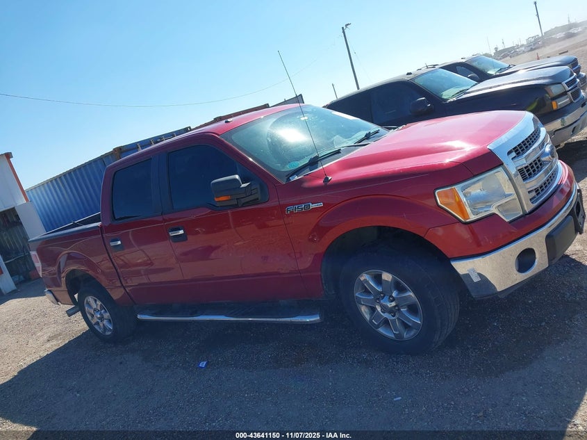 2013 FORD F-150 XLT 1FTFW1CF1DFD55664