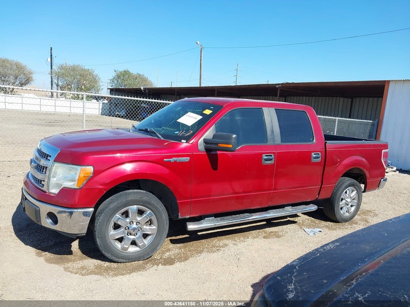 2013 FORD F-150 XLT 1FTFW1CF1DFD55664