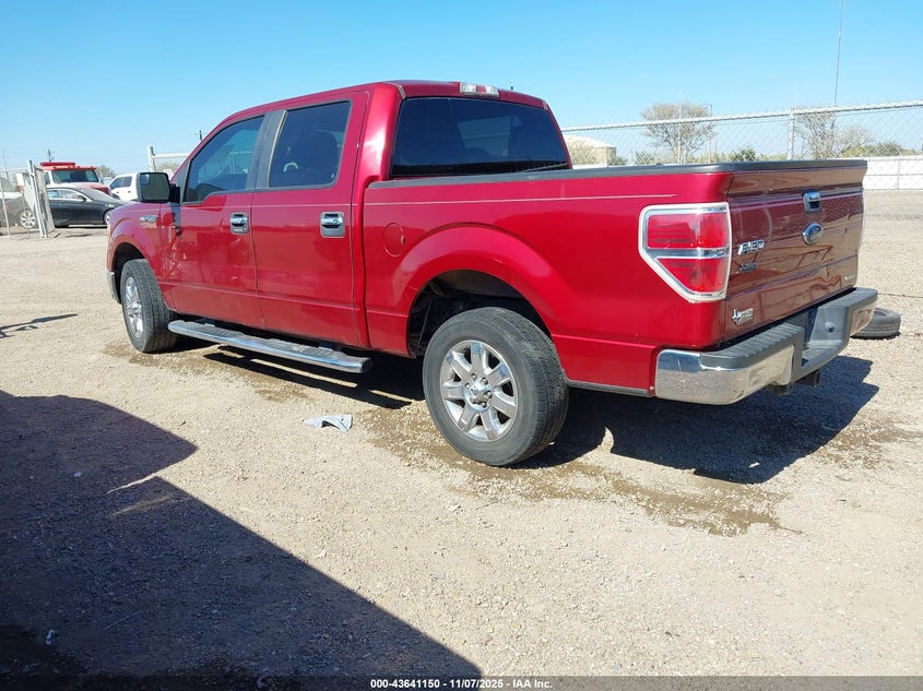 2013 FORD F-150 XLT 1FTFW1CF1DFD55664