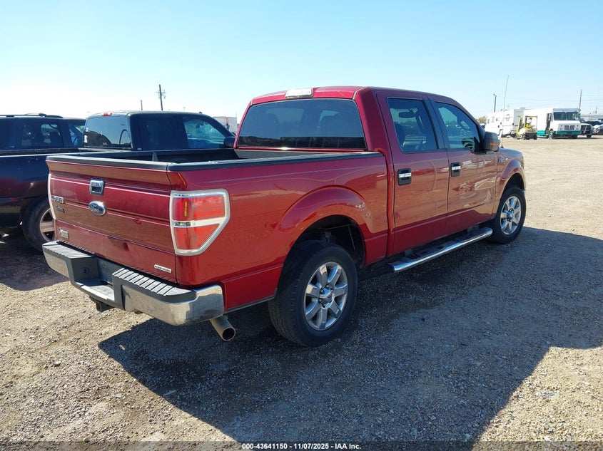 2013 FORD F-150 XLT 1FTFW1CF1DFD55664