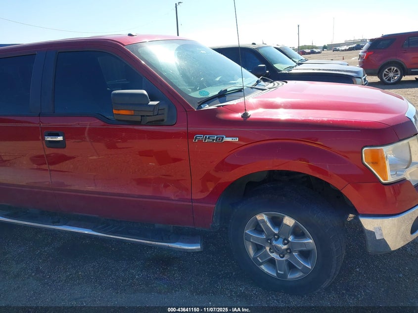 2013 FORD F-150 XLT 1FTFW1CF1DFD55664