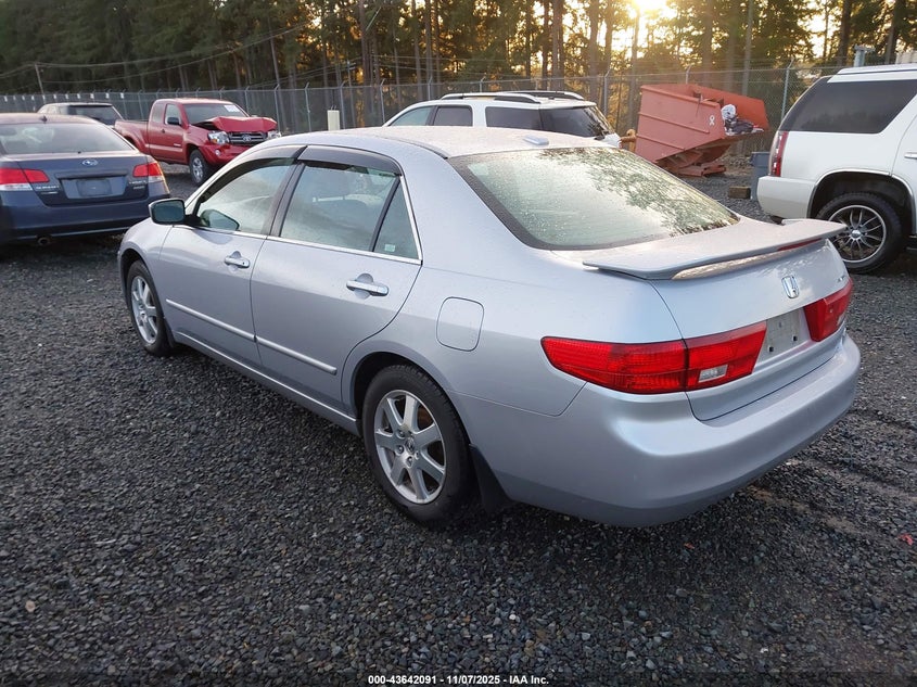 1HGCM66595A010567 2005 HONDA ACCORD photo no. 3