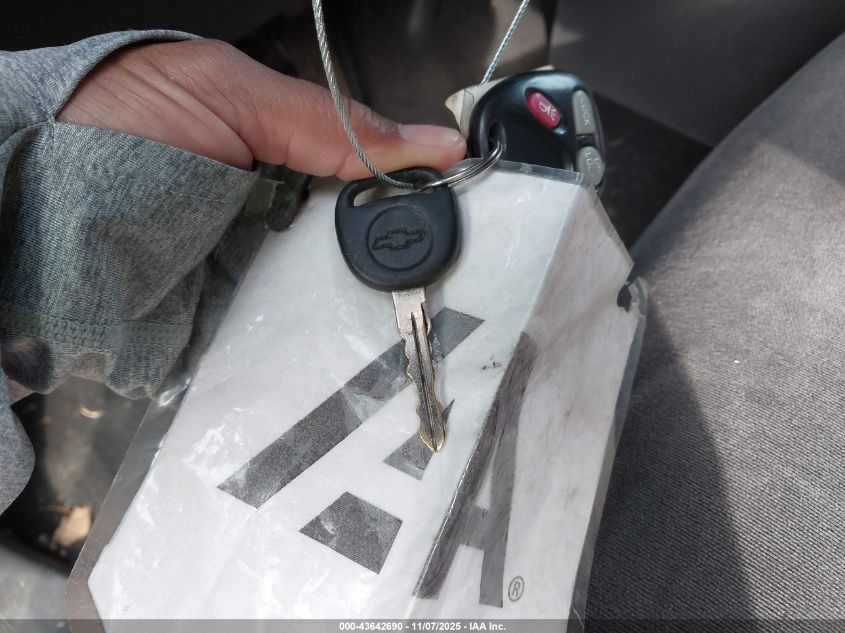 2002 Chevrolet Silverado 1500 Ls VIN: 2GCEC19T521281266 Lot: 43642690