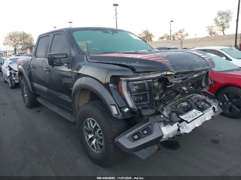 FORD F-150 RAPTOR