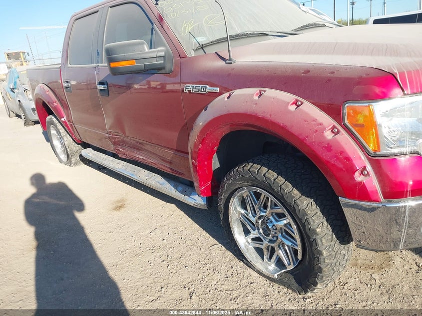 2014 FORD F-150 XLT - 1FTFW1EF8EKG31330