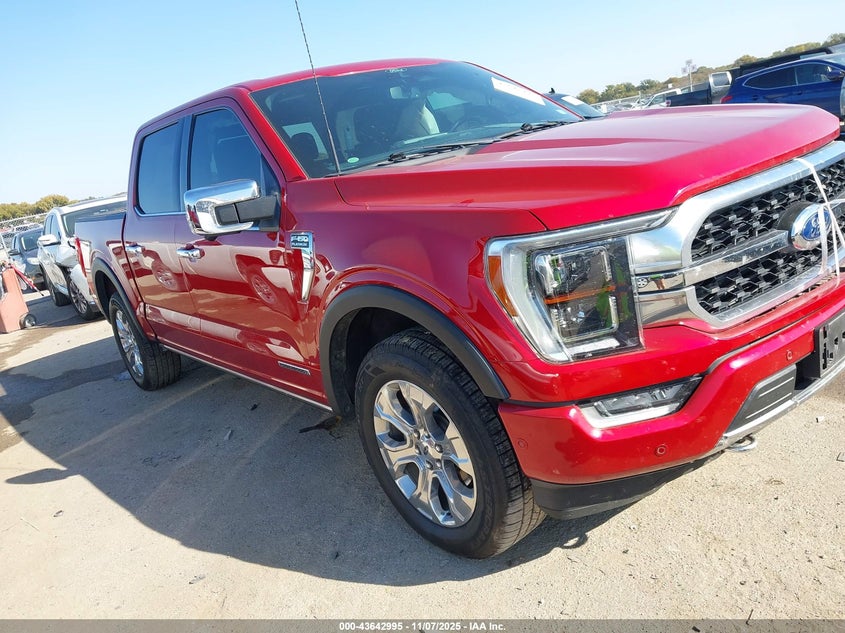 FORD F-150 PLATINUM