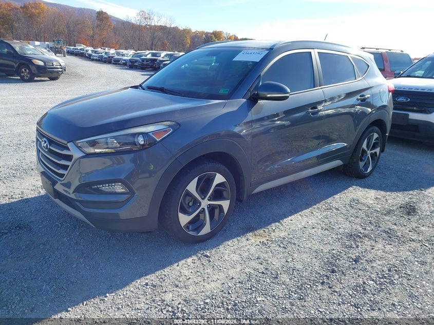 KM8J3CA20HU429359 2017 HYUNDAI TUCSON photo no. 2