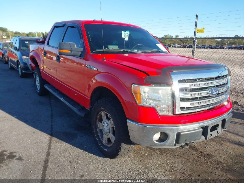 FORD F-150 XLT