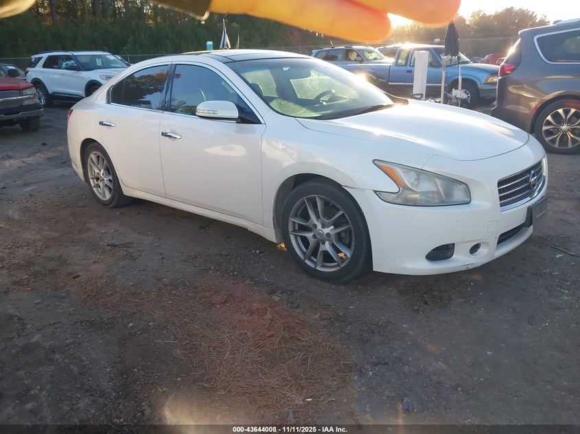 NISSAN MAXIMA 3.5 SV