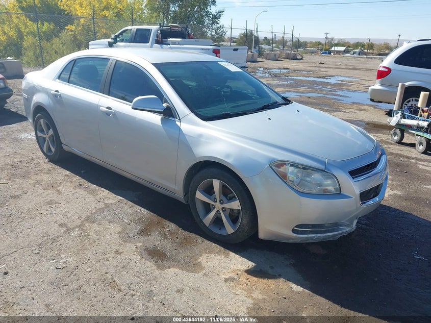 CHEVROLET MALIBU 1LT