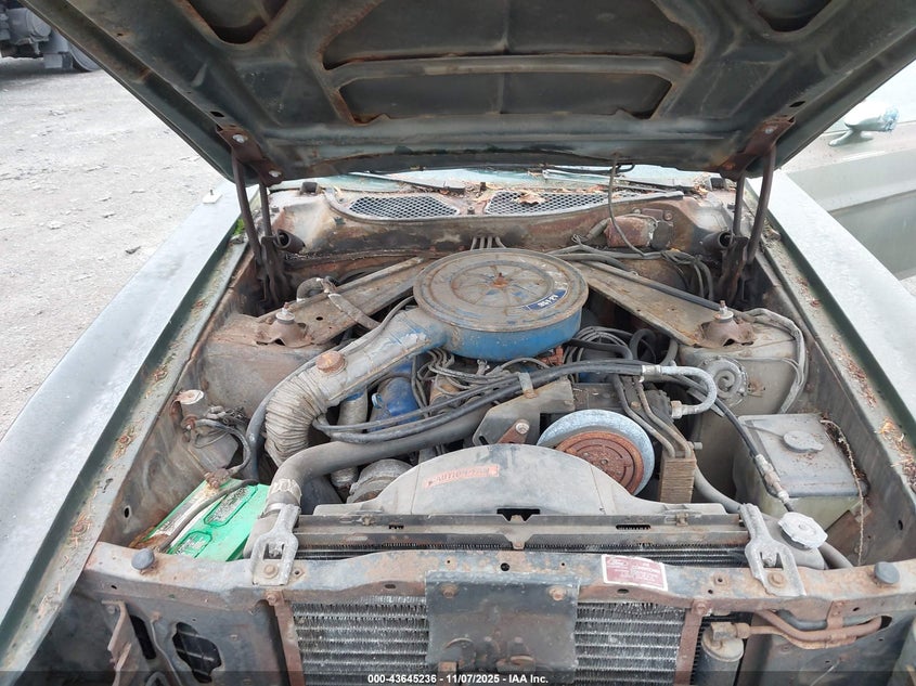 1973 Ford Mustang VIN: 3F04H261310 Lot: 43645236