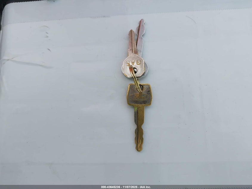 1973 Ford Mustang VIN: 3F04H261310 Lot: 43645236