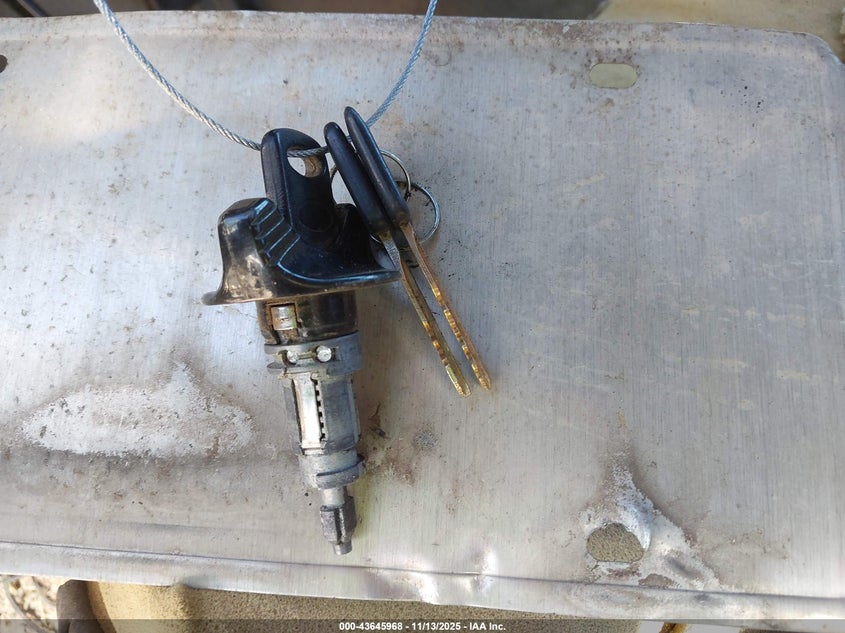 1995 Ford F150 VIN: 1FTEX15H5SKC05455 Lot: 43645968