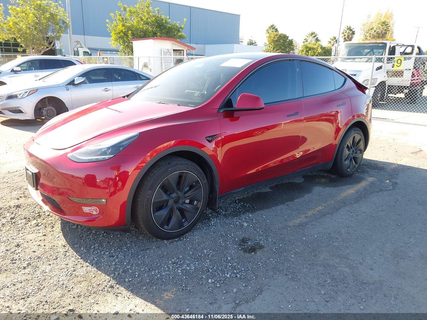 2024 TESLA MODEL Y U   U(VIN: 7SAYGDEE8RF006477