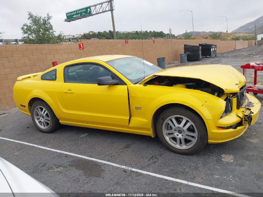 2005 Ford Mustang Gt Deluxe/Gt Premium VIN: 1ZVHT82H855241646 Lot: 43646746