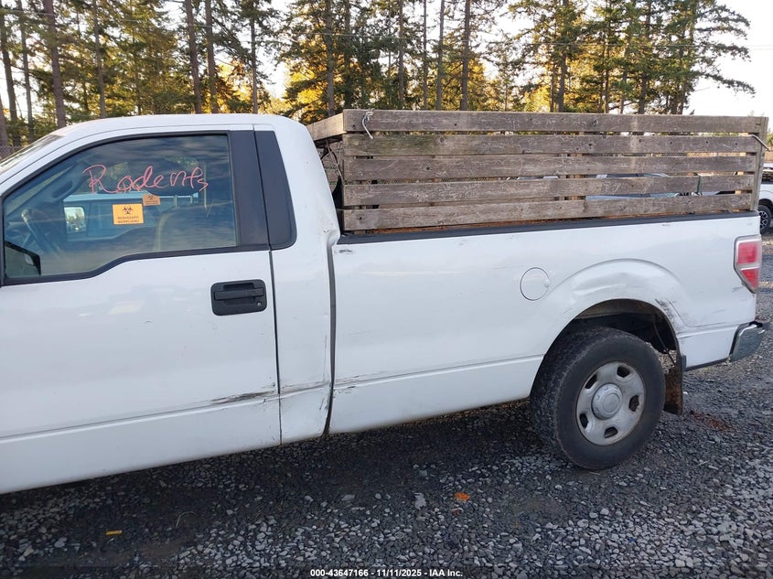 1FTRF12809KC70121 2009 FORD F-150 photo no. 6