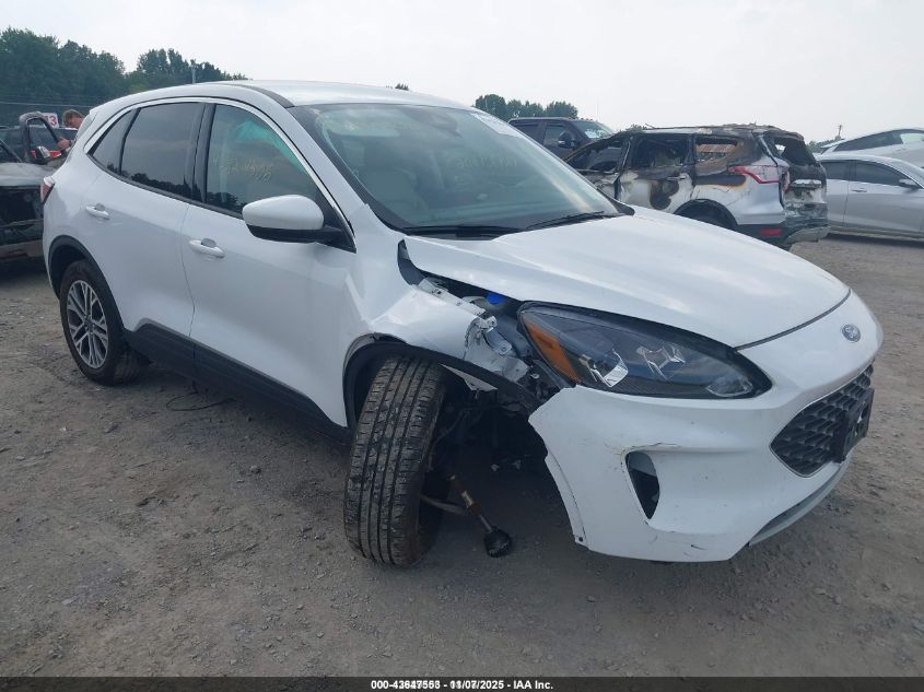 FORD ESCAPE SEL